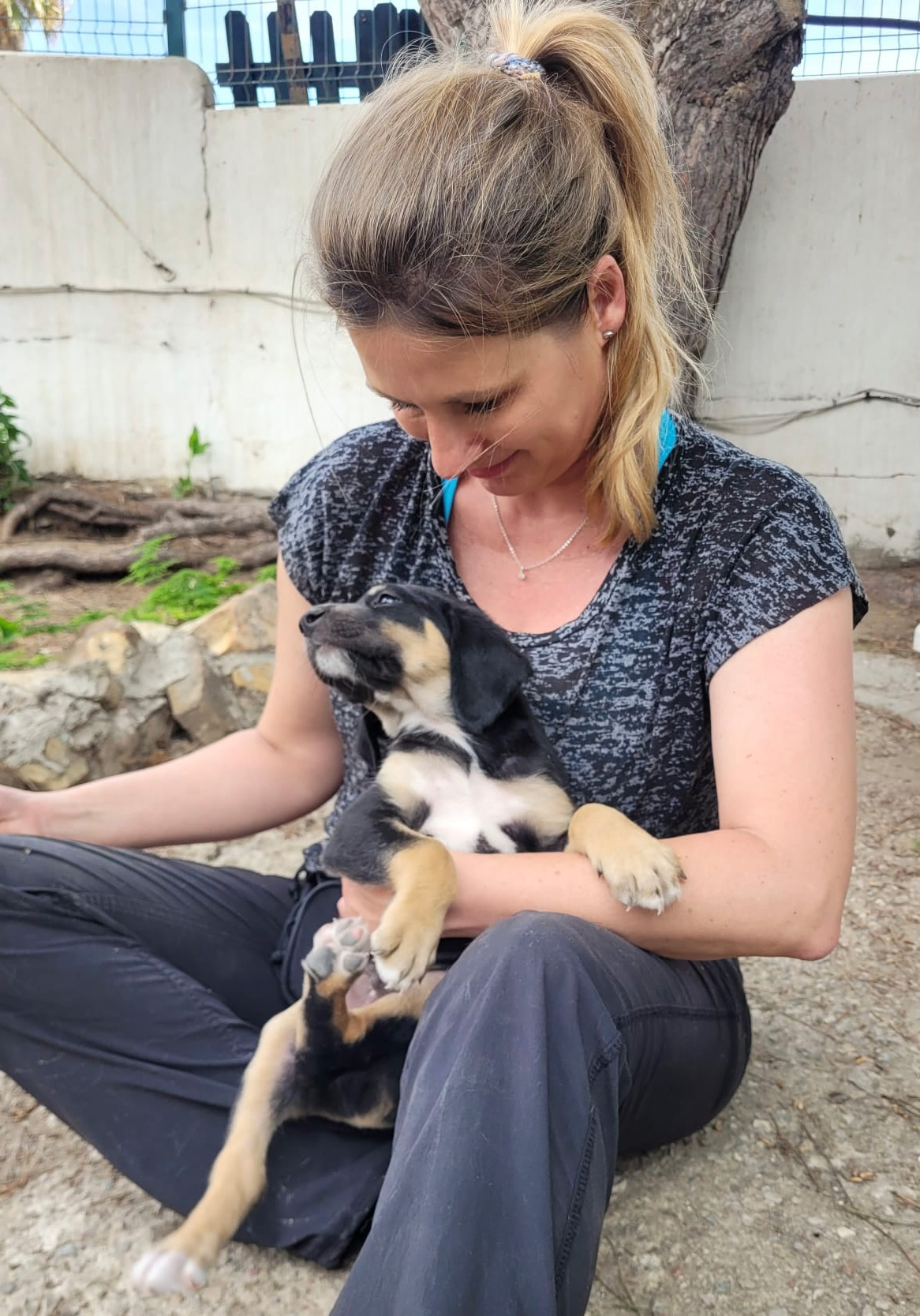 Das Team Der SALVA Hundehilfe Stellt Sich Vor