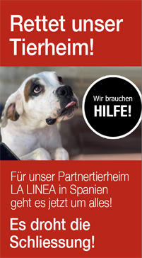 Aktion Hilfe La Linea - Rettet unser Tierheim!