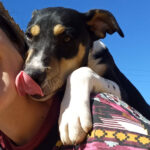 Bodeguero Feliz, 08/2021, 40 cm