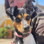 Bodeguero Linda, 01/2020, ca. 40cm, 86947 Weil