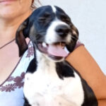 Mischling Lina, 02/2022, Endgröße ca. 50 cm