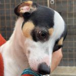 Bodeguero Kussen, 05/2021, ca. 40 cm