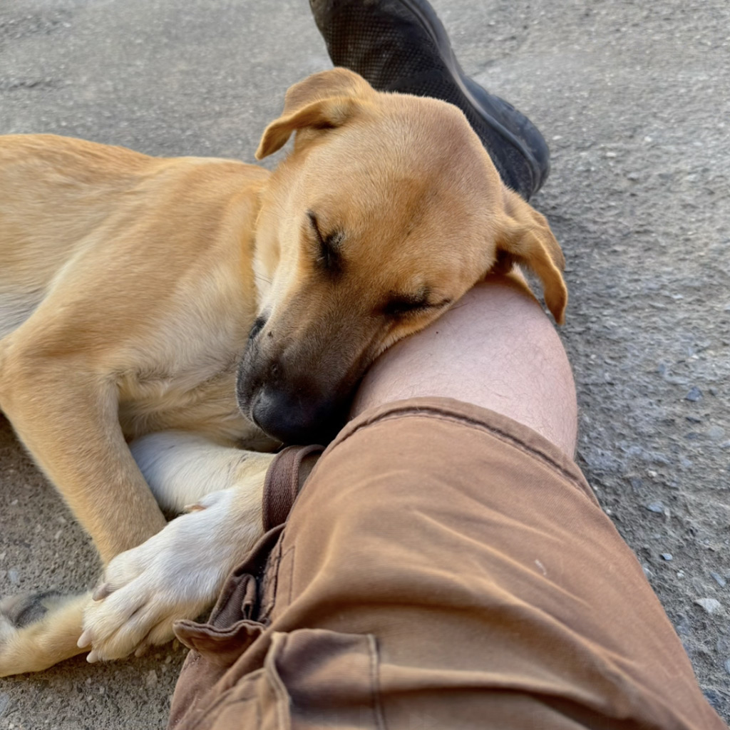 Reisebericht La Linea 2025 von Daniel