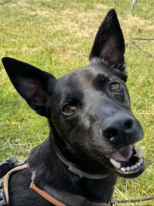 Reisebericht La Linea 2025 von Daniel