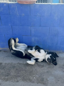 Reisebericht La Linea 2025 von Daniel