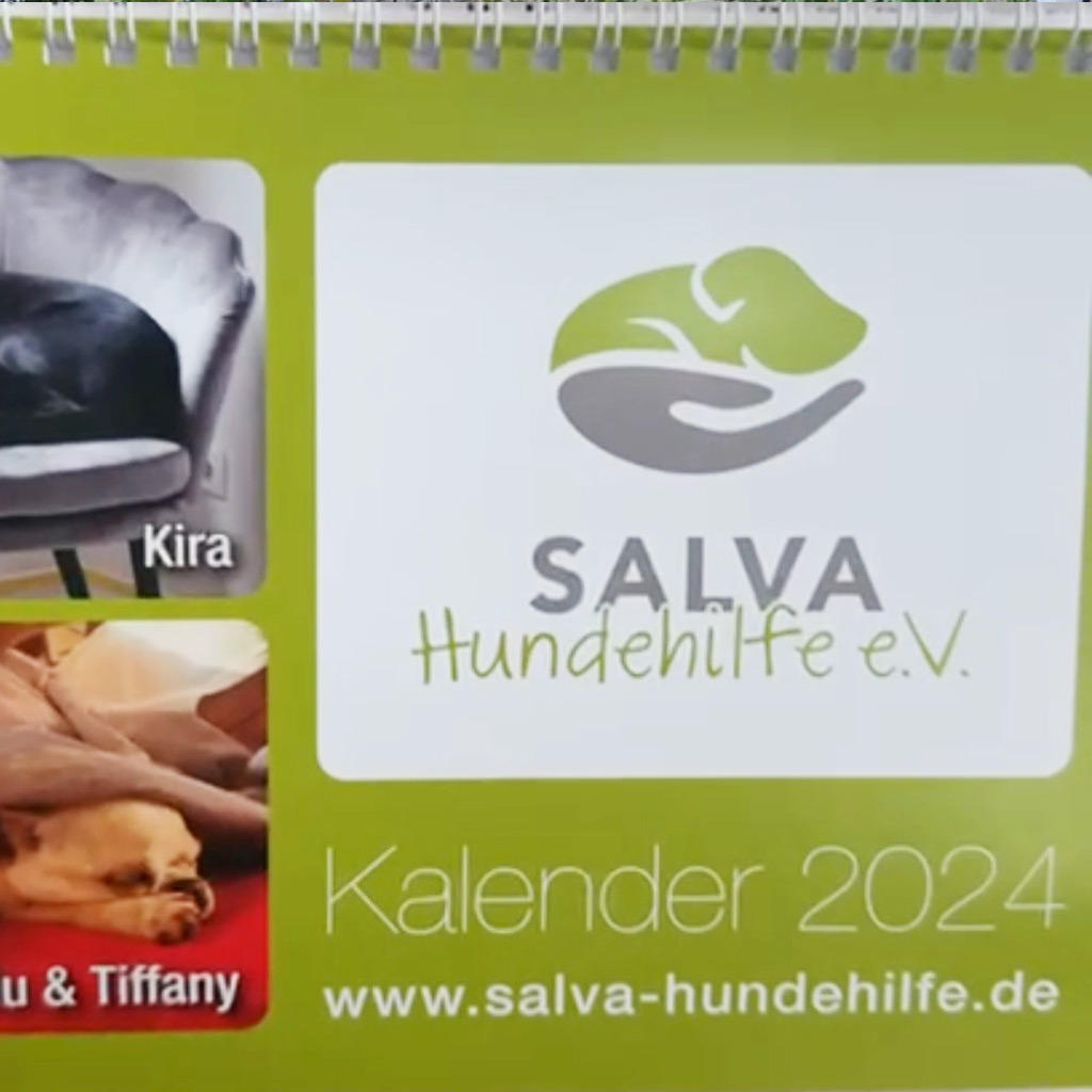 SALVA Kalender 2024