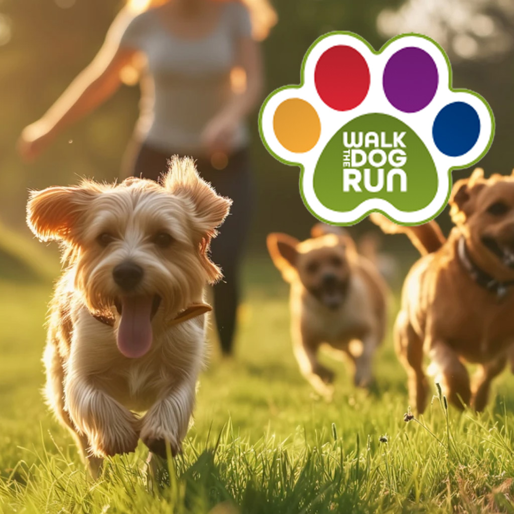 Walk The Dog Run - Laufen macht glücklich - SALVA Hundehilfe e.V.