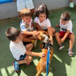 Podenco Ball, 06/2021, ca. 40 cm