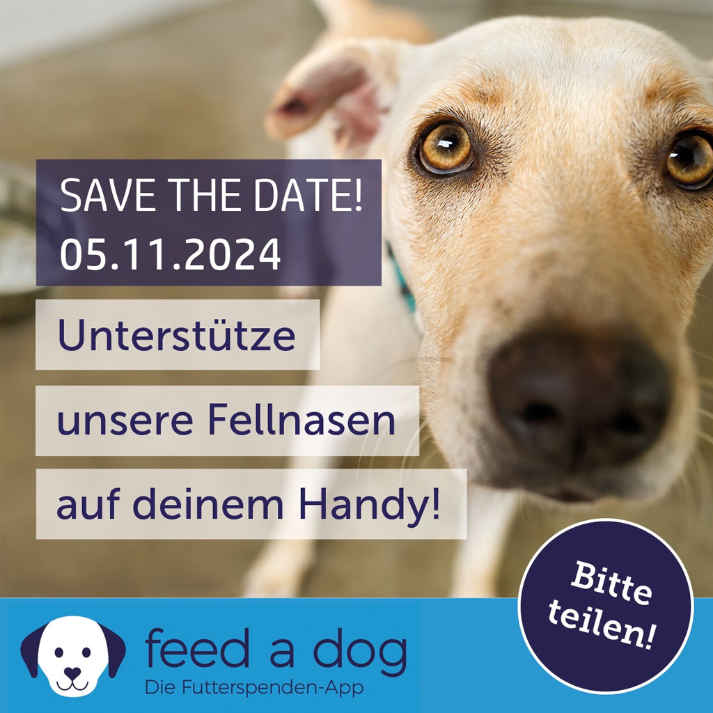 FEED A DOG – Letzter Aktionstag am 05.11.2024