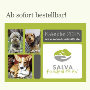 SALVA Kalender 2025