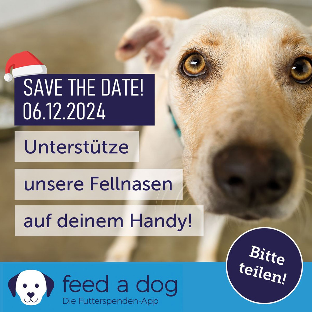 FEED A DOG – Aktionstag am 06.12.2024