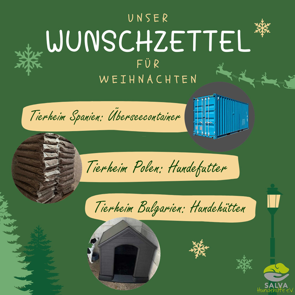 Weihnachtswünsche unserer Tierheime