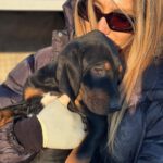 Mischling Emmy, 11/2024, Endgröße ca. 55 cm