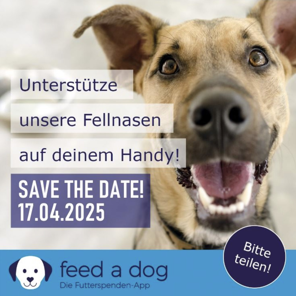 FEED A DOG – Aktionstag am 17.04.2025
