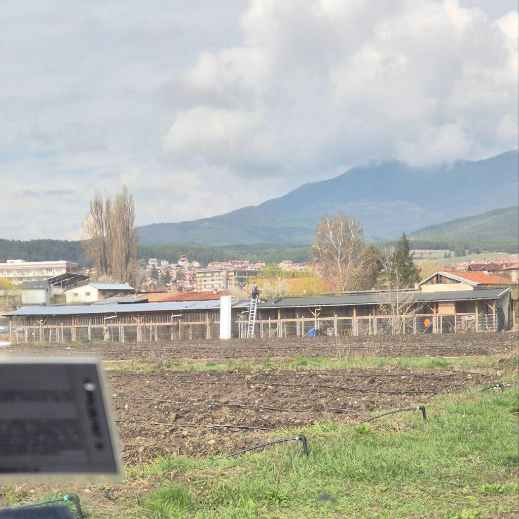 Spenden Tierheimdach Bulgarien