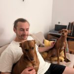 Podenco Nano, 04/2019, ca. 50 cm, 50859 Köln