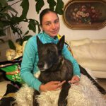 Malinois Nicole, 12/2017, ca. 60 cm, 14482 Potsdam