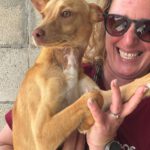 Podenco Nuno, 08/2024, ca. 40 cm