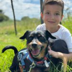 Pinscher Mischling Coke, 04/2022, ca. 38 cm