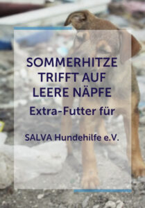 FEED A DOG – Aktionstag nur heute am 03.07.2025