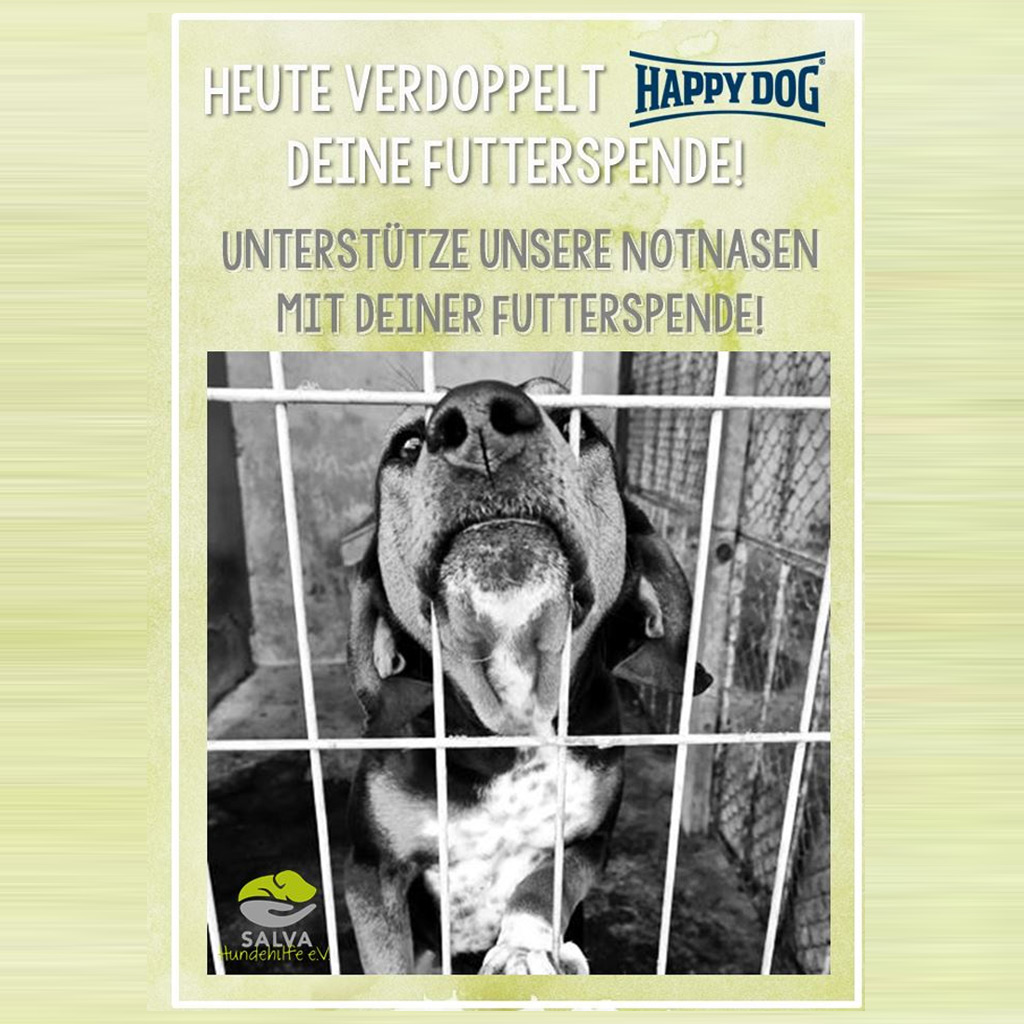 FEED A DOG – Aktionstag nur heute am 03.07.2025