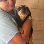Pinscher Mischling Mini, 06/2019, ca. 30 cm