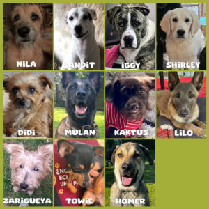 Spendenaufruf SALVA Medizintopf