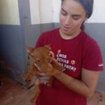 Podenco Maneto Pinscher Mischling Laura, 04/2025, Endgröße ca. 30 cm