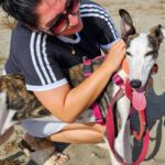 Galgo Luar, 02/2024, ca. 70 cm