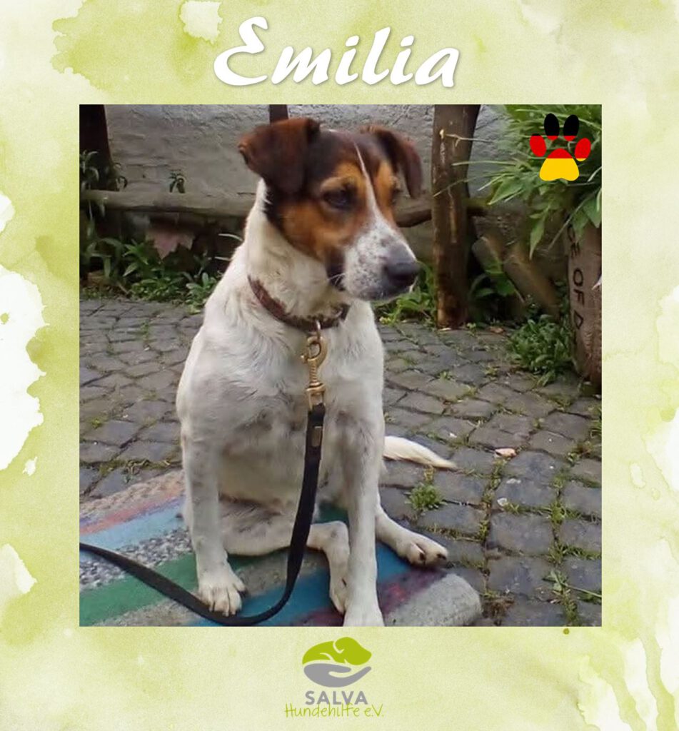 Emilia - SALVA Motto im September Langzeitpflegis