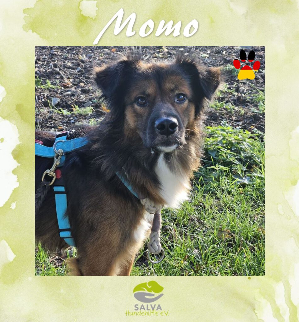 Momo - SALVA Motto im September Langzeitpflegis
