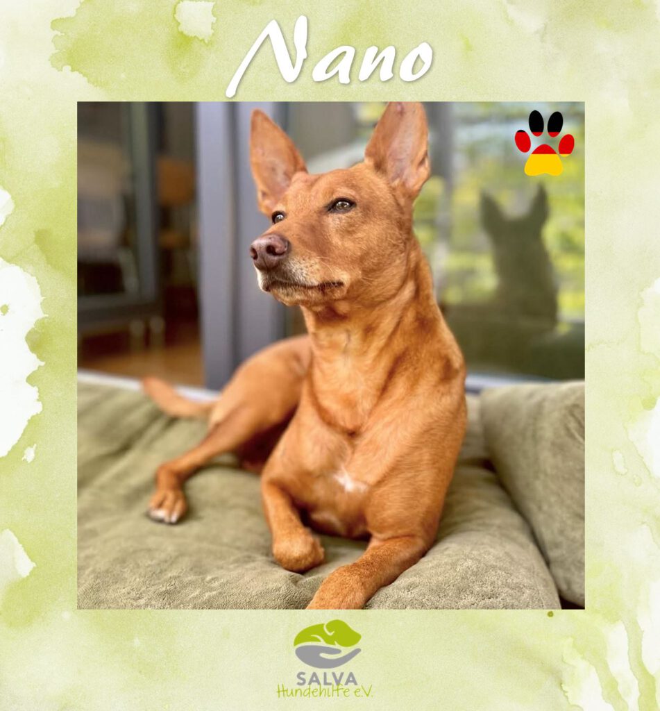 Nano - SALVA Motto im September Langzeitpflegis