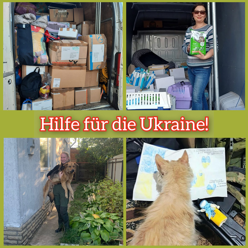 Hilfe für die Tiere in der Ukraine