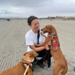 Podenco Mischling Jimmy, 01/2021, ca. 40 cm