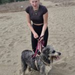 Bearded Collie Mischling Malta,10/2021, ca. 55 cm