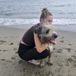 Bearded Collie Mischling Malta,10/2021, ca. 55 cm