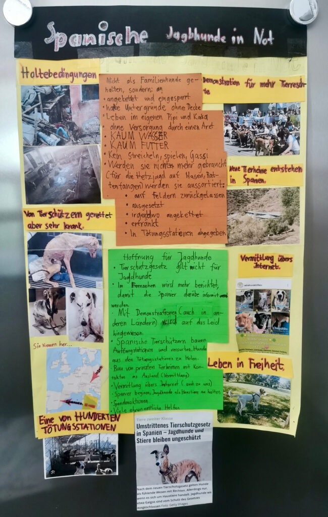 Spanische Jagdhunde in Not - Plakat Lucian