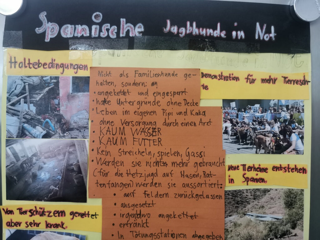 Spanische Jagdhunde in Not - Plakat Lucian