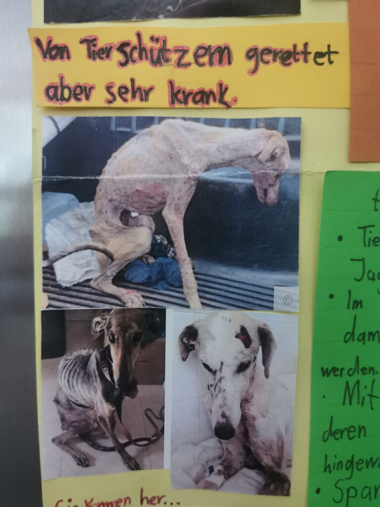 Spanische Jagdhunde in Not - Plakat Lucian