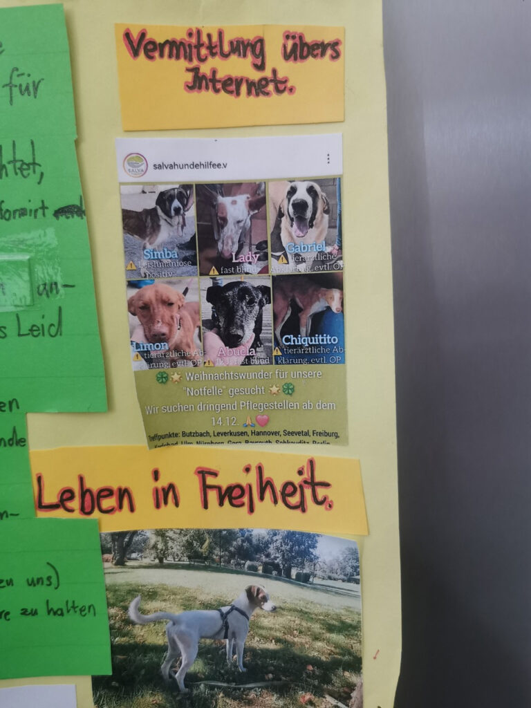 Spanische Jagdhunde in Not - Plakat Lucian