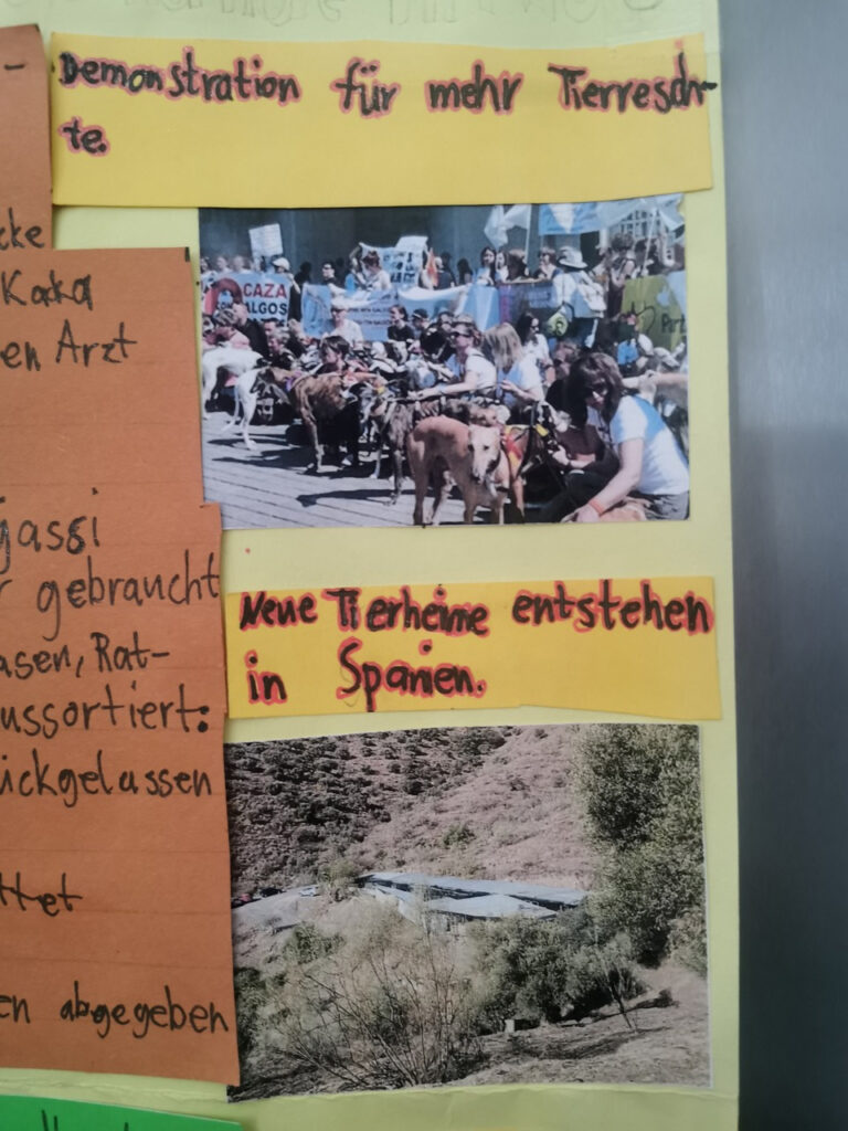 Spanische Jagdhunde in Not - Plakat Lucian