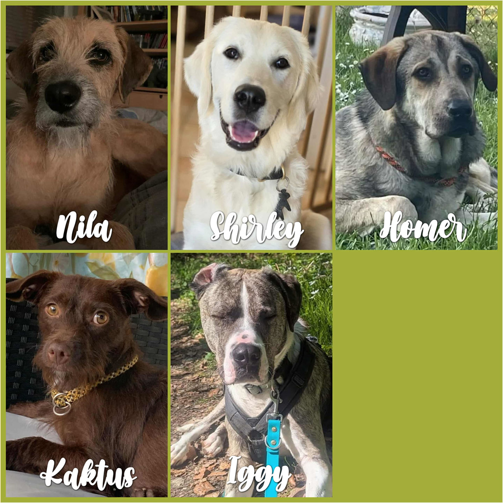 Spendenaufruf SALVA Medizintopf