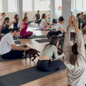 Hilfe für Bulgarien - Yoga mit Welpen