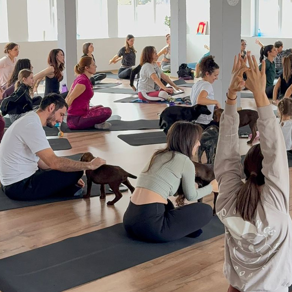 Hilfe für Bulgarien - Yoga mit Welpen