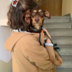 Podenco Annabelle, 03/2025, Endgröße ca. 45 cm, 21337 Lüneburg