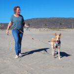 Podenco Cameron, 11/2023, ca. 55cm