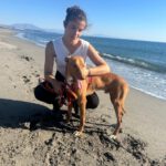 Podenco Cosmo, 08/2023, ca. 46 cm