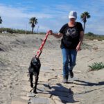 Malinois Mischling Fenja, 08/2022, ca. 55- 60 cm