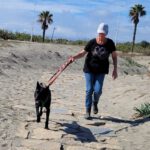 Malinois Mischling Fenja, 08/2022, ca. 55- 60 cm