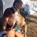 Podenco Grace, 01/2023, ca. 40 cm